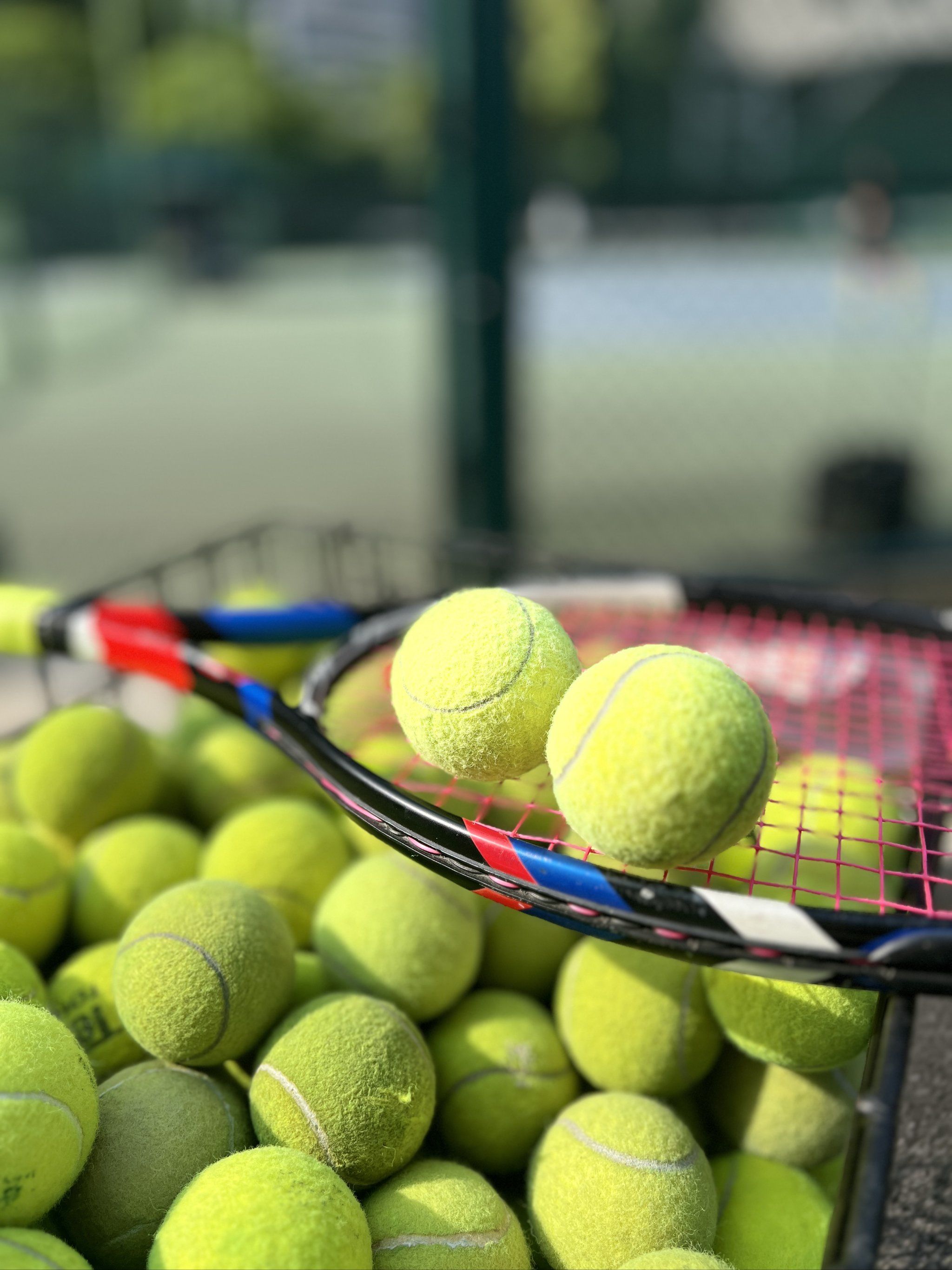 网在中国的 网在中国的