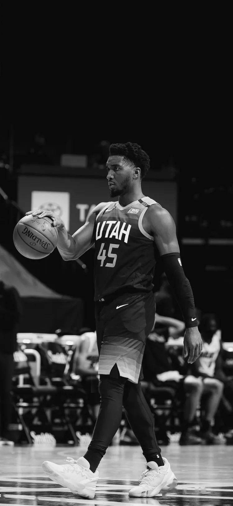 涯铺下了基 涯铺下了基