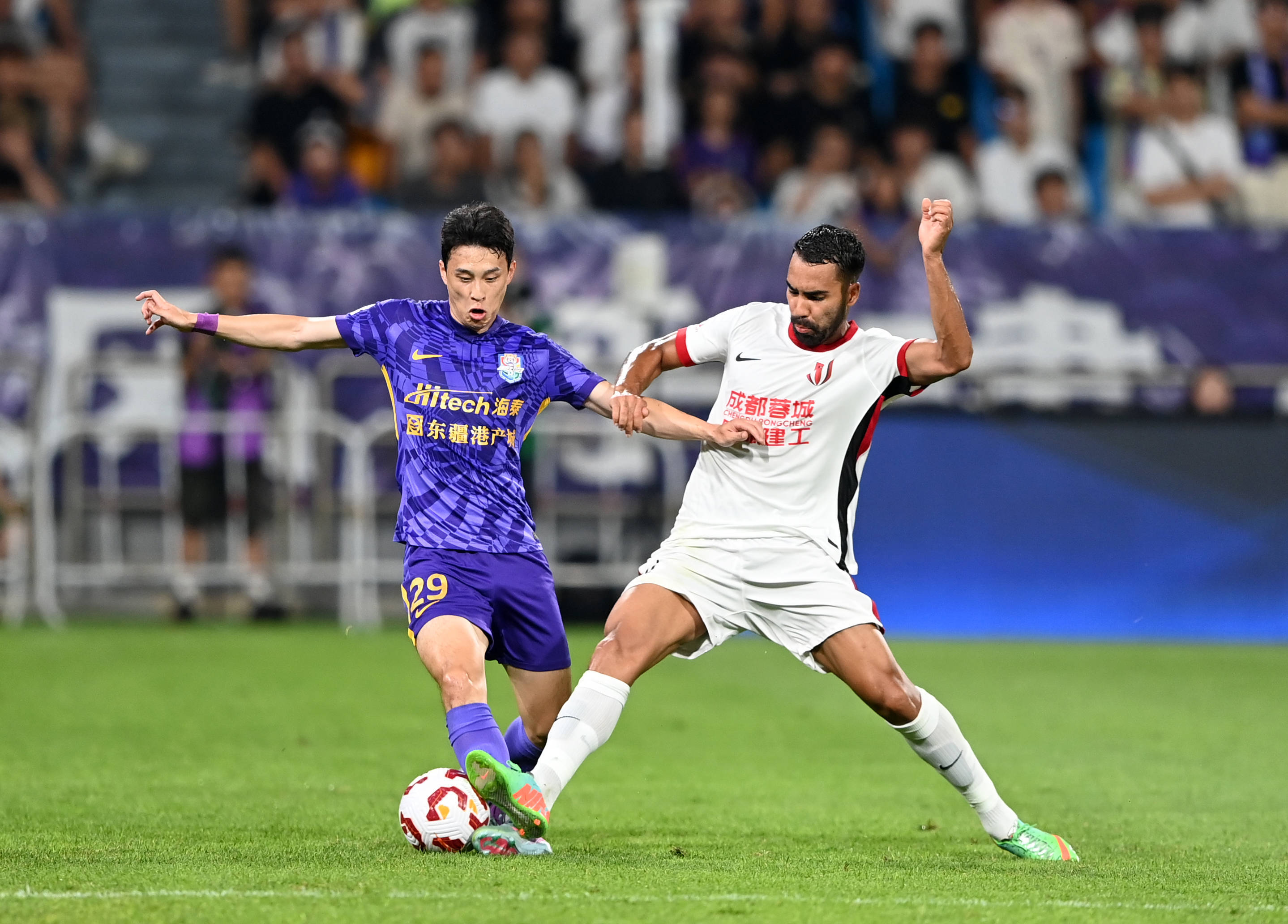 髋关节置换 髋关节置换